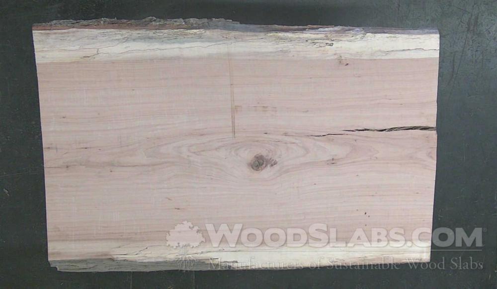 Pecan Wood Slab #AOD-99G-PBG8