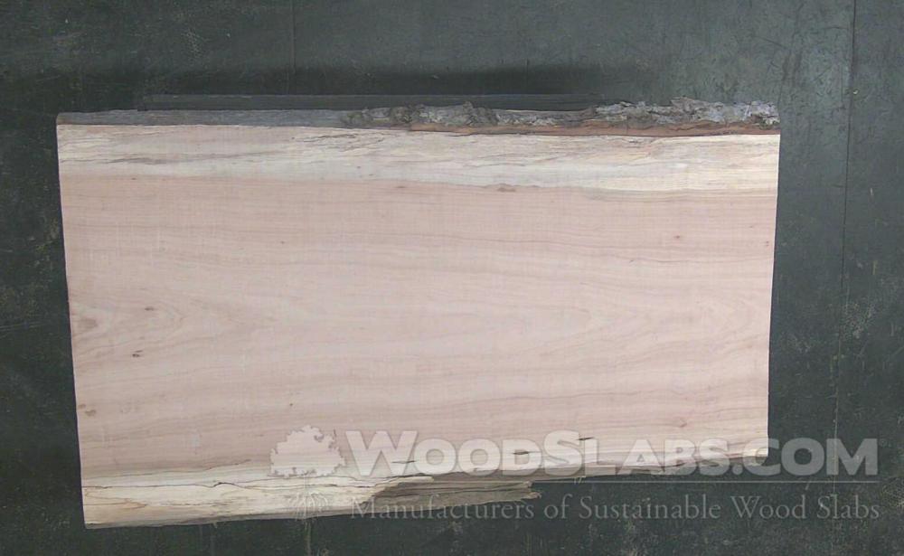 Pecan Wood Slab #13C-DXT-7557