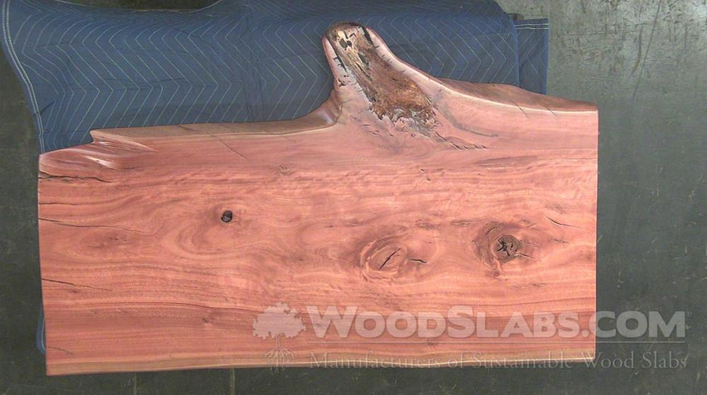Eucalyptus Wood Slab #JW3-XRV-XZ71
