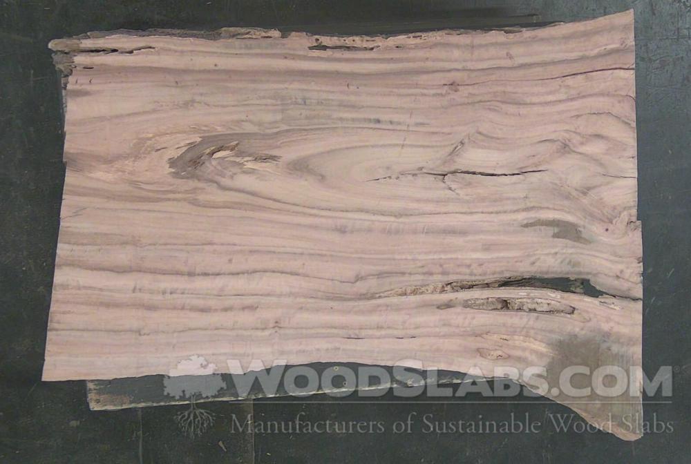 Eucalyptus Wood Slab #SC8-1RS-EKJZ