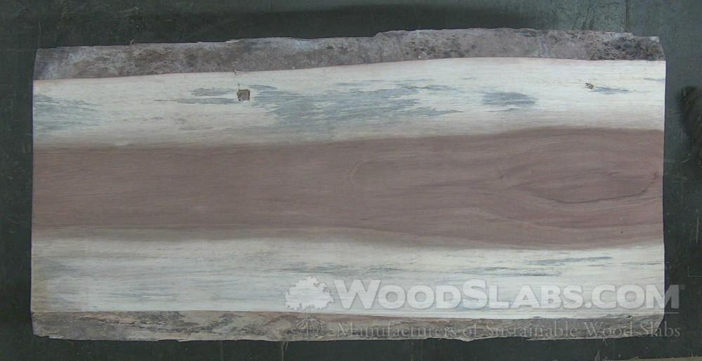 Parota Wood Slab #UDU-VZR-69EV