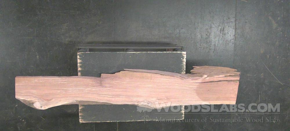 Cumaru Wood Slab #8BL-HUT-U450