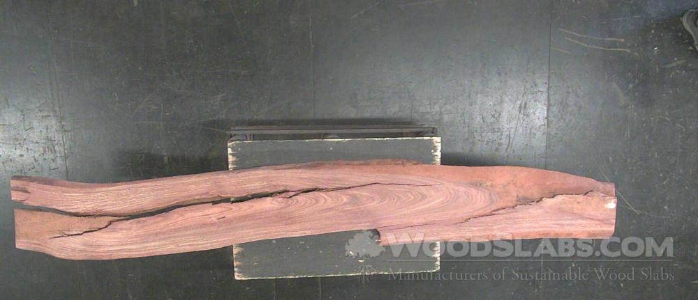 Cumaru Wood Slab #5C4-6TC-LIQM