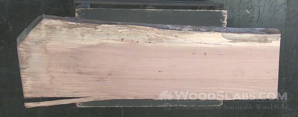 Pecan Wood Slab #H5F-0BM-MF01