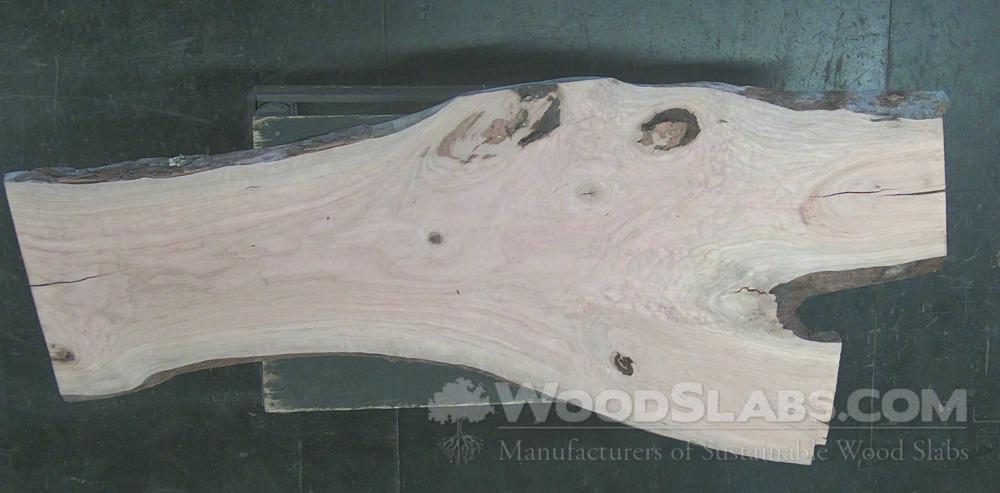 Black Cherry Wood Slab #SYV-FF9-ELBM