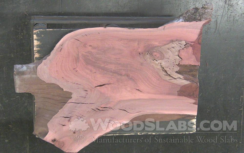 Eucalyptus Wood Slab 1RYIN782LT