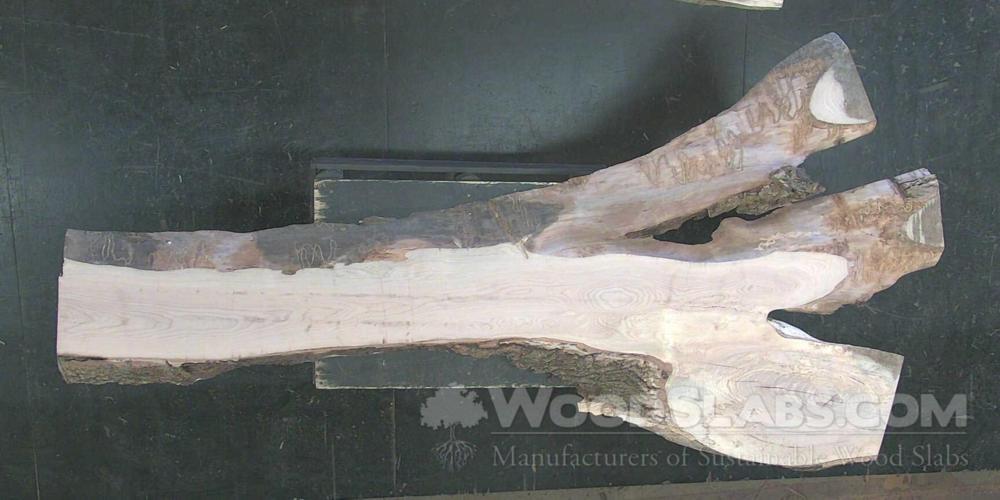 White Ash  Wood Slab #V3S-EKD-3Y5D