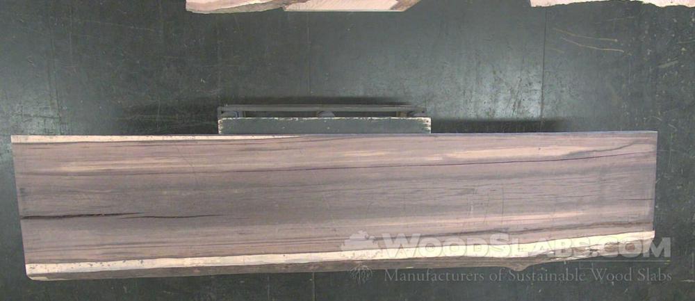 Brazilian Ebony / Pau Santo Wood Slab #RK7-IDM-K3BI