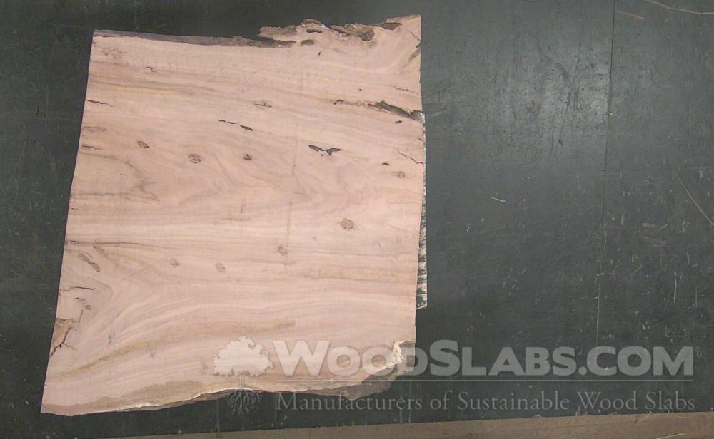 Eucalyptus Wood Slab #QPT-Z63-TT5X