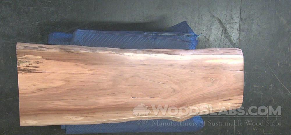 Sycamore Wood Slab #Z24-13I-ZTA1