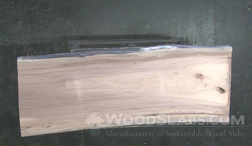 Sycamore Wood Slab #T9Z-7VX-G00W