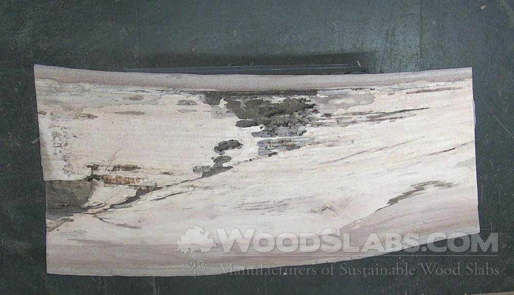Sycamore Wood Slab #UU7-RUW-W812