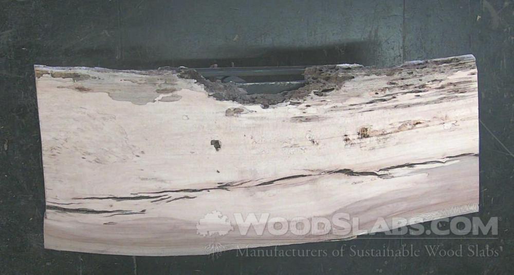 Sycamore Wood Slab #QZT-M9T-73UN