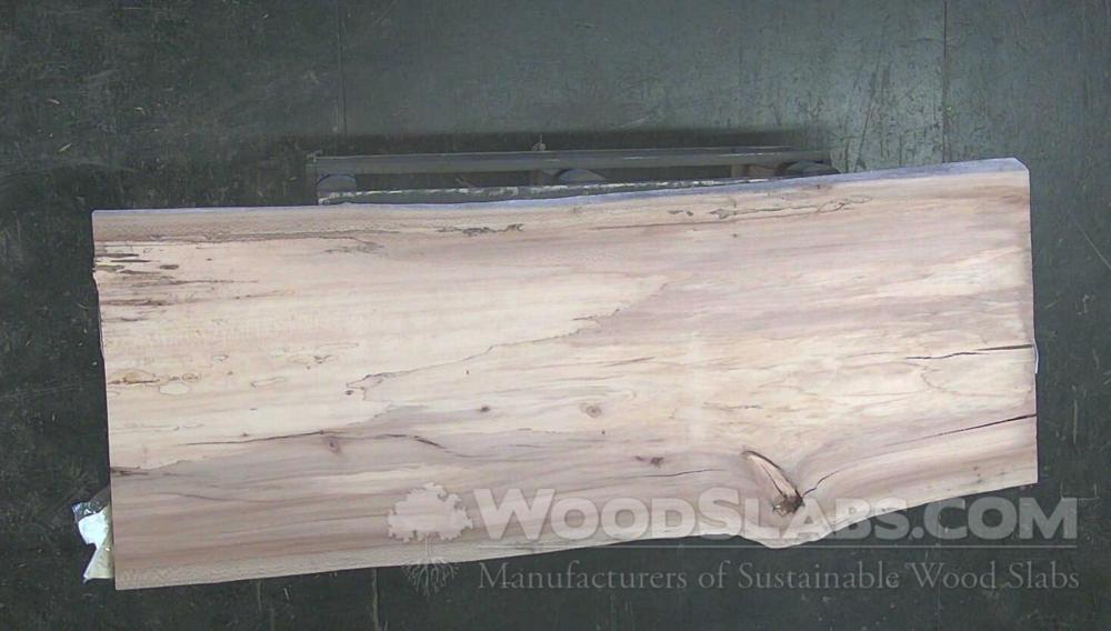 Sycamore Wood Slab #RJZ-X3Y-LD9F