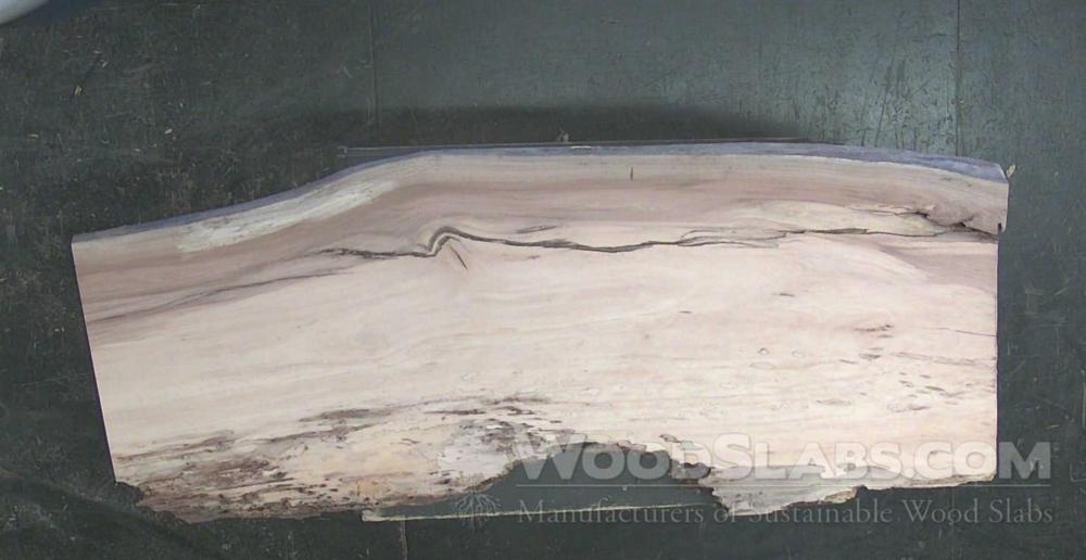 Sycamore Wood Slab #D5T-DLA-IST1