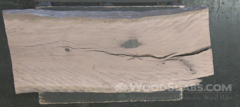 Laurel Oak Wood Slab #R86-6GY-4R8B