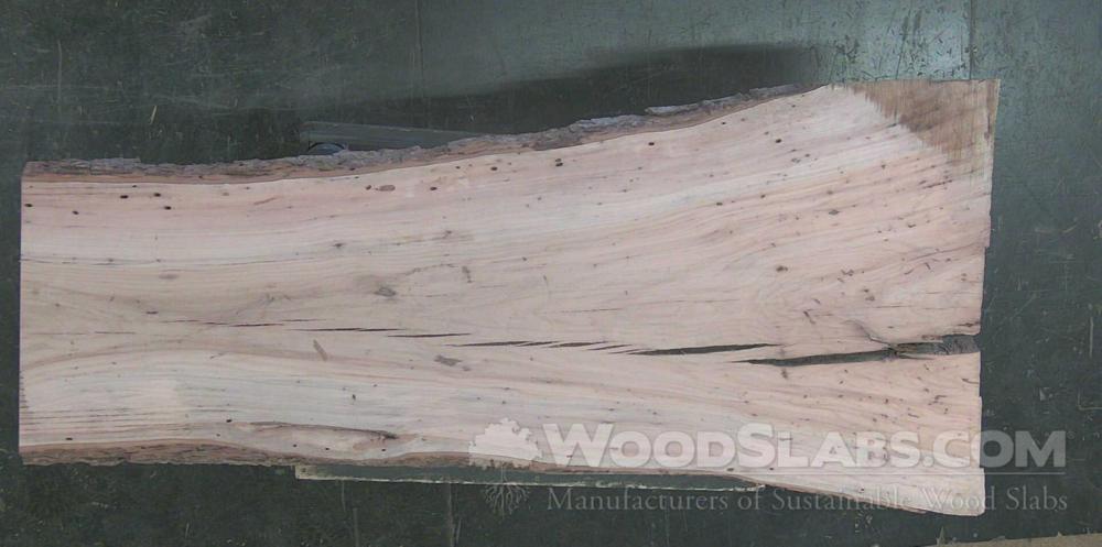 Laurel Oak Wood Slab #1D6-XPM-MXR0