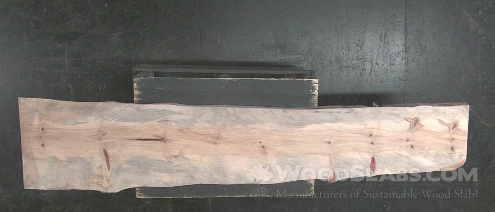 Norfolk Island Pine Wood Slab #89B-QUJ-805X