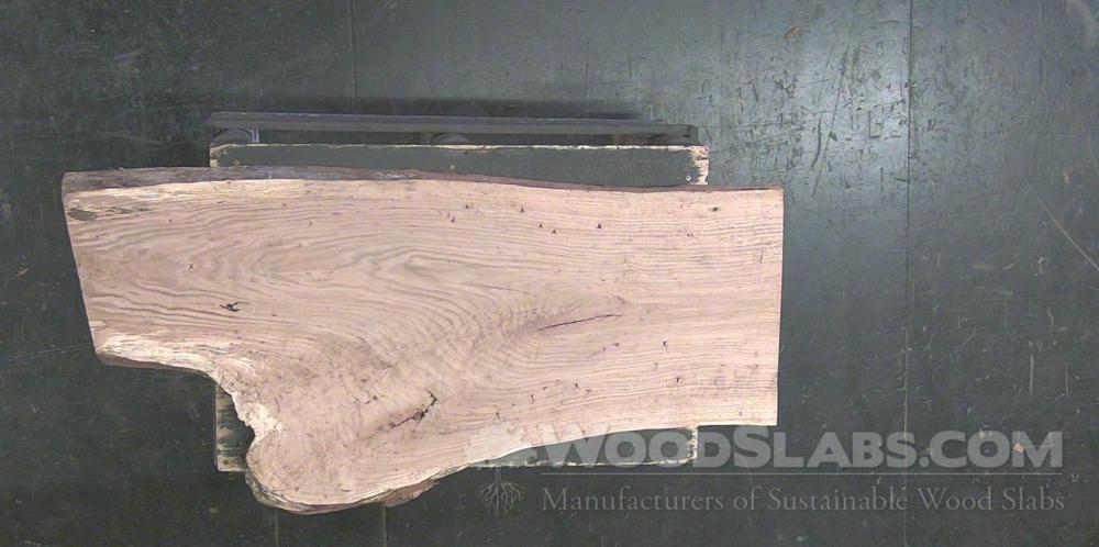 Chestnut Oak Wood Slab #V8E-PP3-61K5