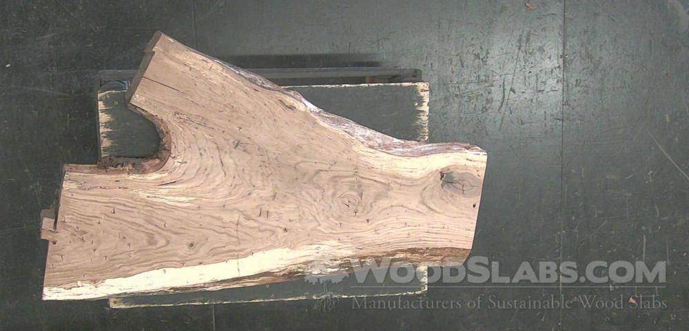 Chestnut Oak Wood Slab #IKB-IE1-CGJG