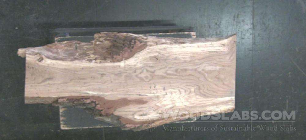 Chestnut Oak Wood Slab #M87-Y6Q-EJTS