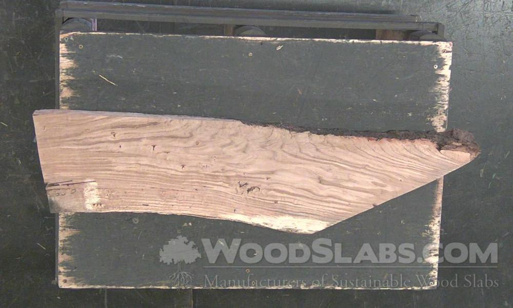 Chestnut Oak Wood Slab #RSK-MUH-CKYJ