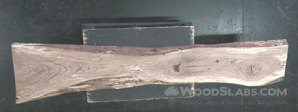 Chestnut Oak Wood Slab #4A6-3SK-ZROW