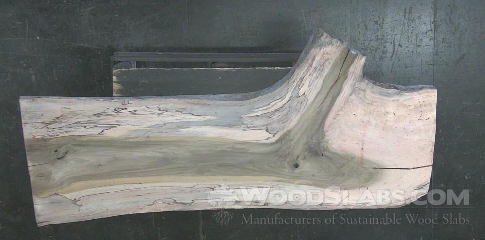 Tulip Poplar Wood Slab #TV6-SL3-EDA0