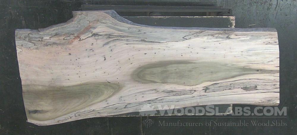 Tulip Poplar Wood Slab #MOK-F9C-IZ6O