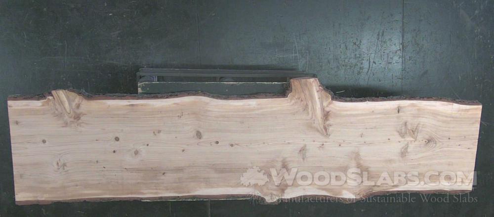 Cedar of Lebanon Wood Slab #PNB-DNR-XG6Y