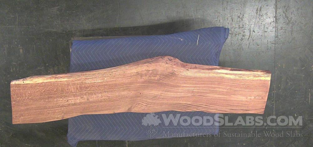 Chestnut Oak Wood Slab #PBH-1KY-PT7W