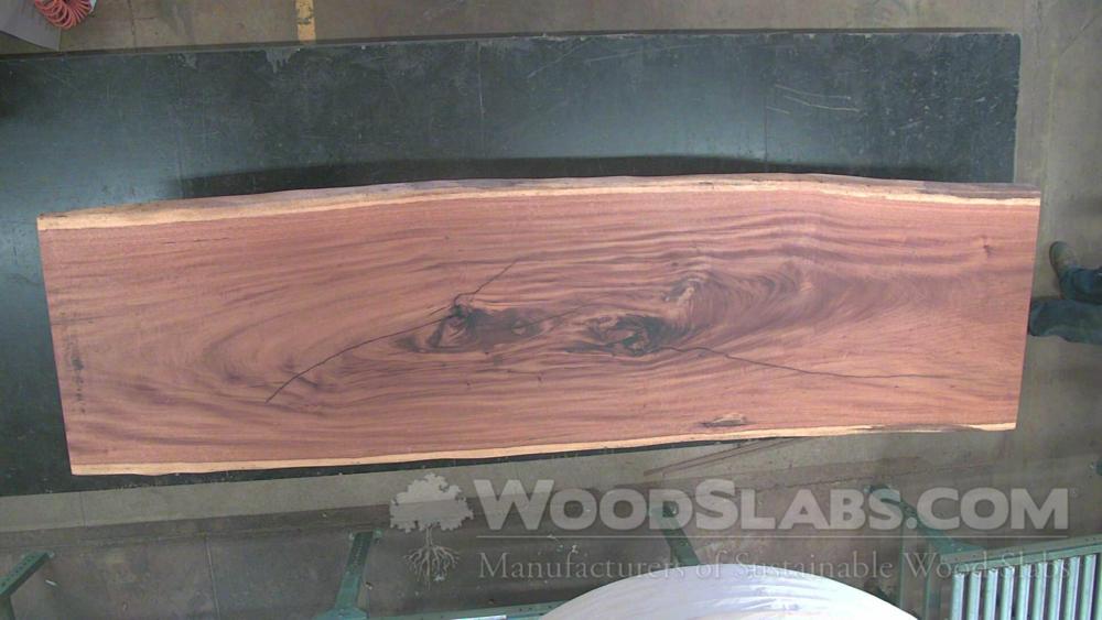 Tigerwood Wood Slab #IXG-V3S-HV98