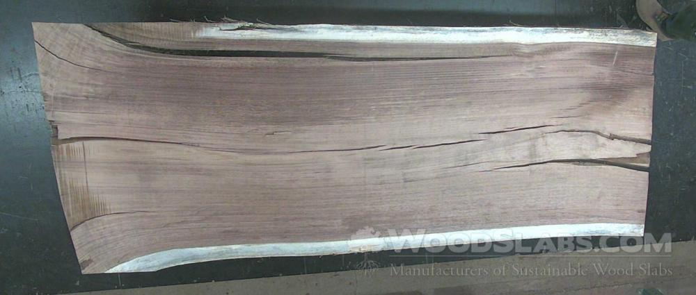 Parota Wood Slab #PZC-Y17-UT9P
