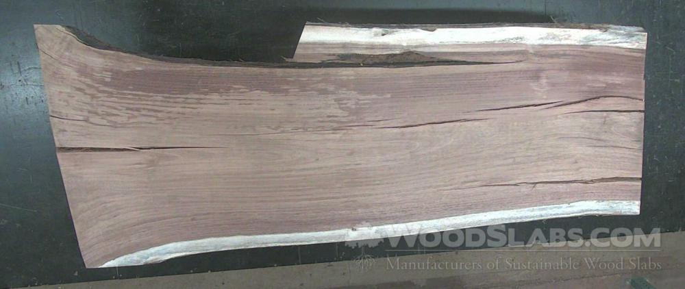 Parota Wood Slab #0O0-60M-V7XR