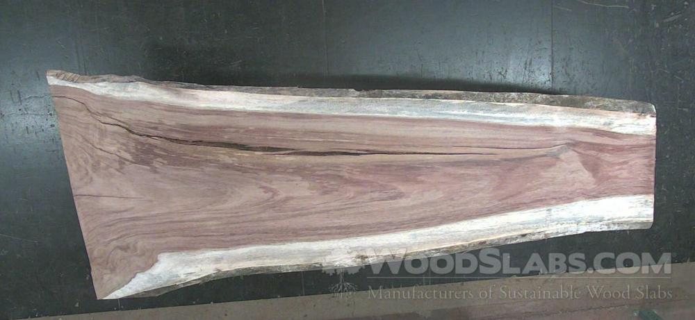 Parota Wood Slab #PL1-TBO-GEDW