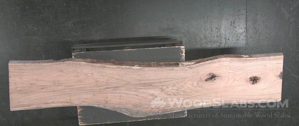 Mulberry Wood Slab #PTM-USM-PDNW