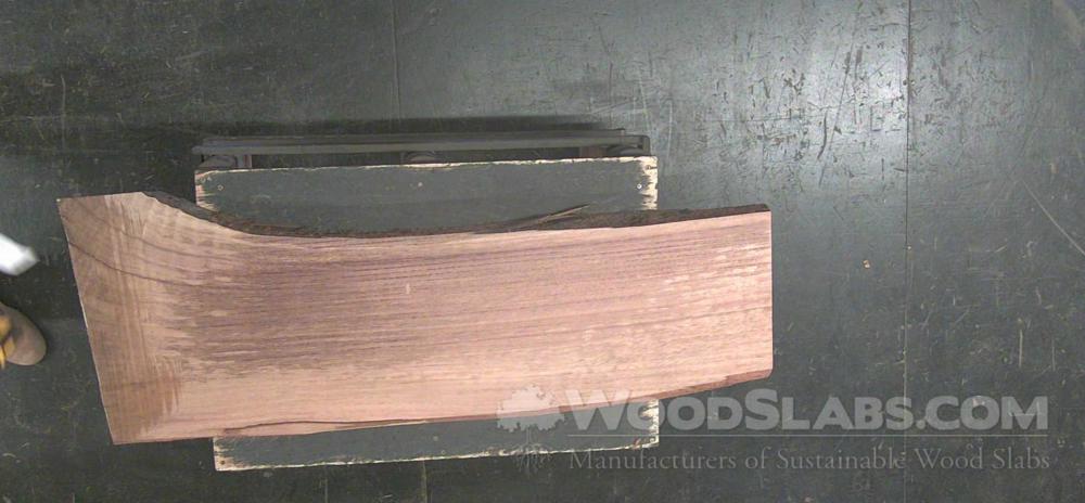 Parota Wood Slab #OKP-DW8-DAT9