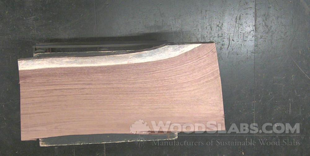 Parota Wood Slab #AET-38E-P4XL