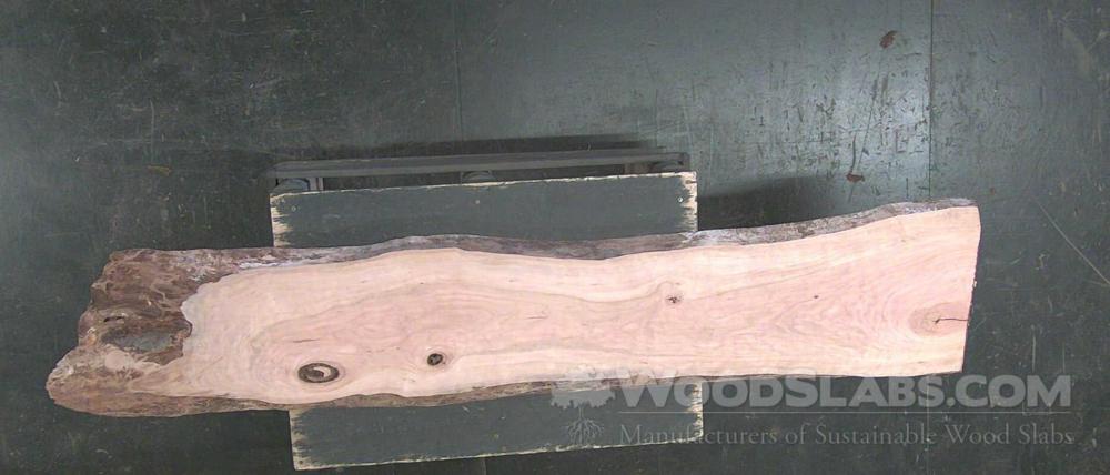 Black Cherry Wood Slab #Q8C-KYF-U5XJ