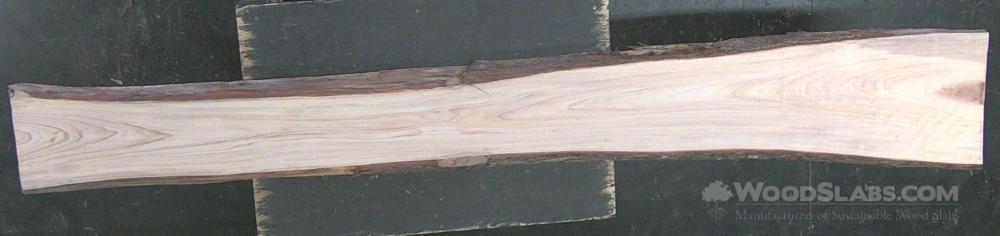Cypress Wood Slab #8X8-3JG-K3RW