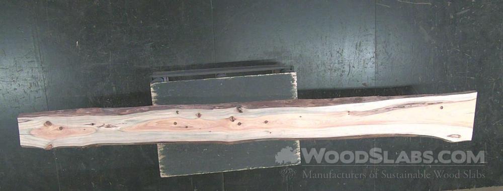 Cypress Wood Slab #XFU-L1Z-3E0P