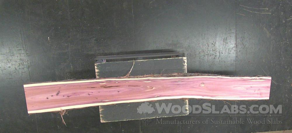 Eastern Red Cedar Wood Slab #SFS-2NJ-ASX8
