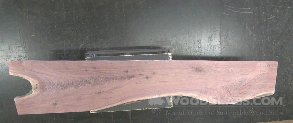 Walnut Wood Slab #XZT-B5O-H2F5