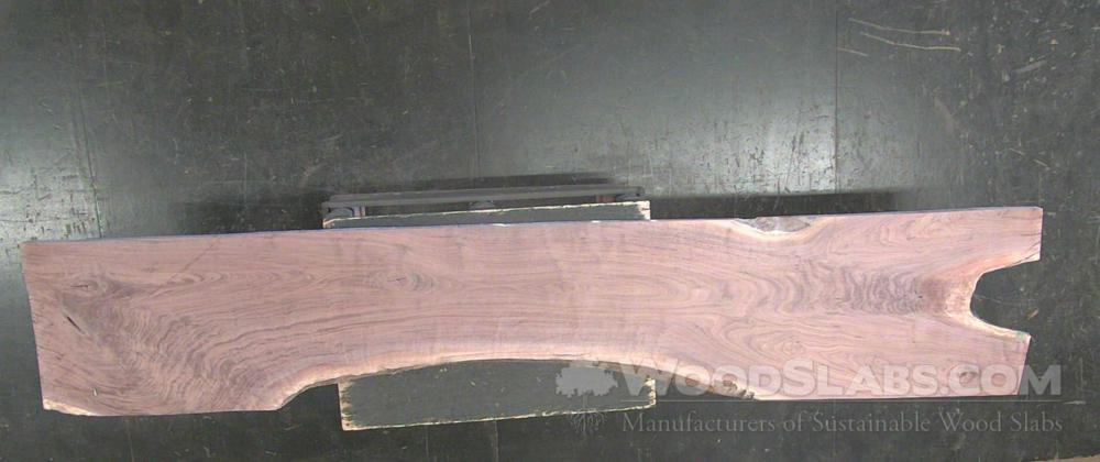 Walnut Wood Slab #C69-VJ2-JVZE