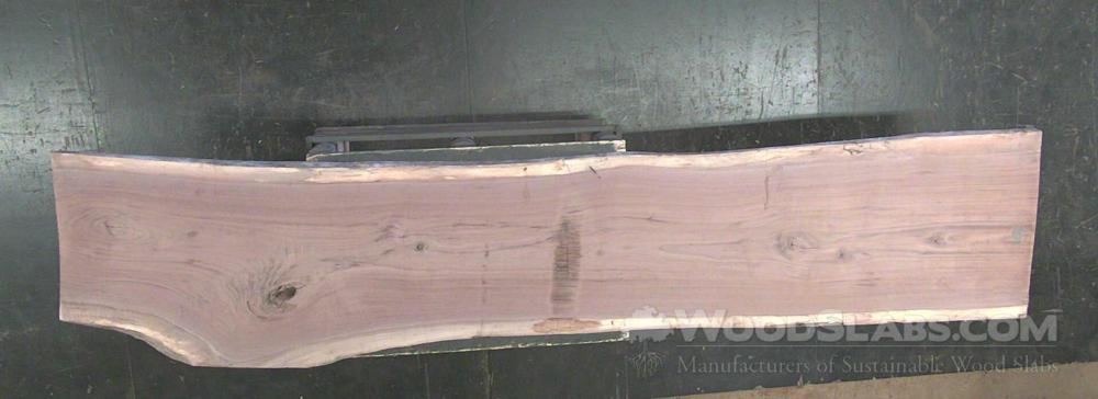 Walnut Wood Slab #Y01-1Y3-0FET
