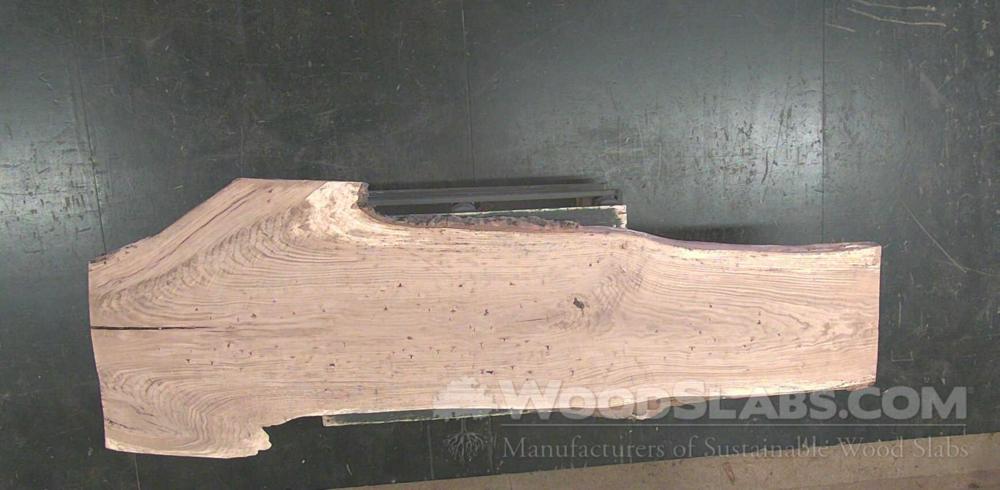 Chestnut Oak Wood Slab #9X1-CJJ-RRNI