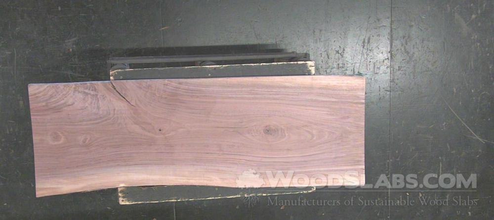 Walnut Wood Slab #IT1-P30-1BZR