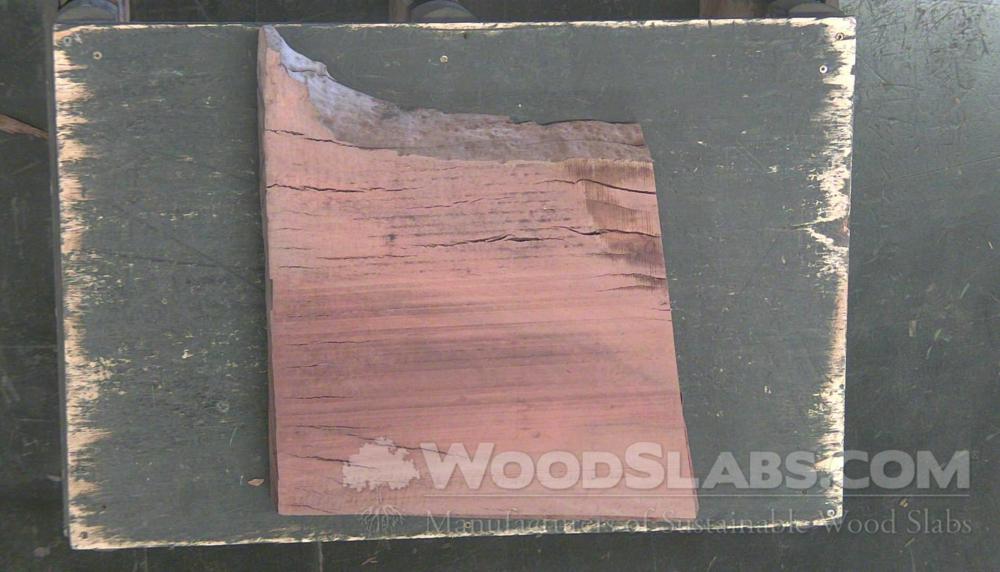 Eucalyptus Wood Slab #1Q9-W60-WFE2