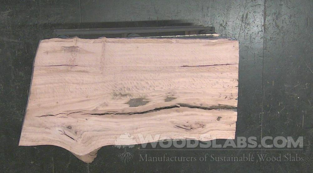Eucalyptus Wood Slab #QPP-C6V-FSUE