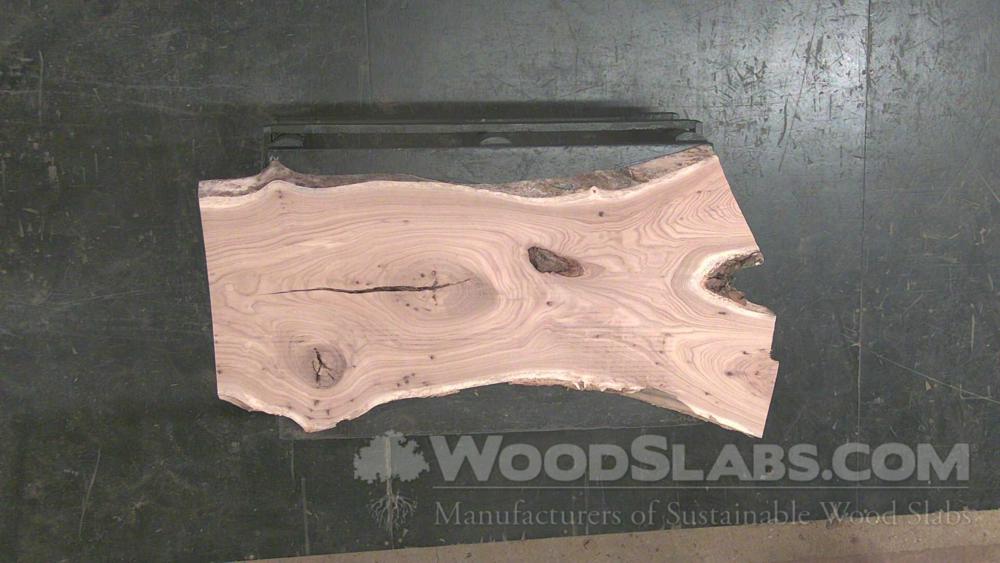 Chestnut Oak Wood Slab #873-3KN-9TKU